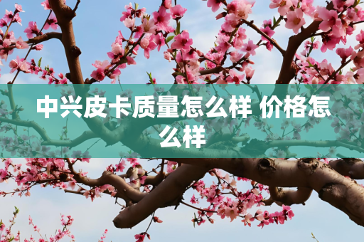 中兴皮卡质量怎么样 价格怎么样