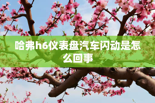 哈弗h6仪表盘汽车闪动是怎么回事