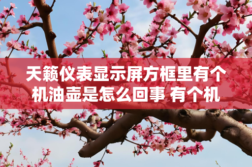 天籁仪表显示屏方框里有个机油壶是怎么回事 有个机油壶的原因讲解