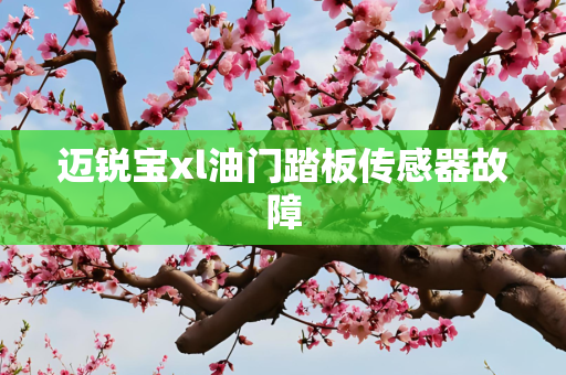 迈锐宝xl油门踏板传感器故障