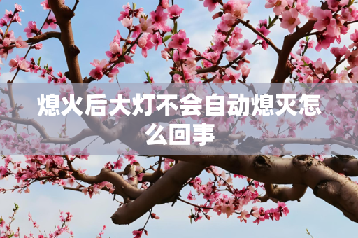 熄火后大灯不会自动熄灭怎么回事
