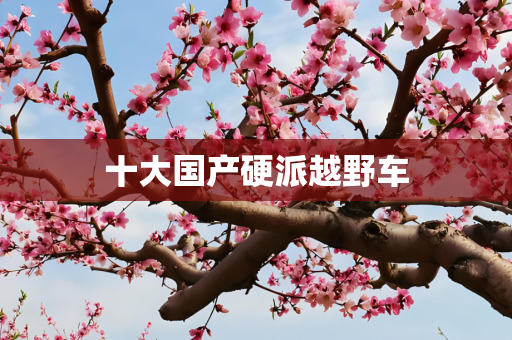 十大国产硬派越野车