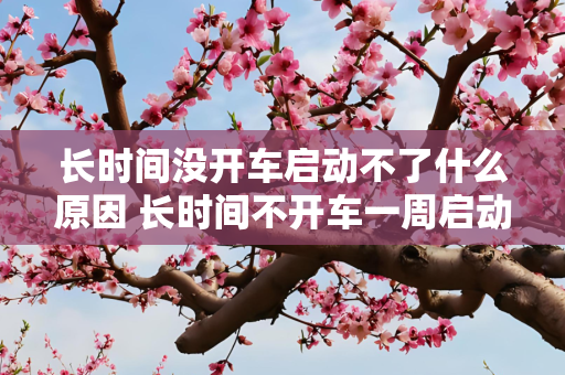 长时间没开车启动不了什么原因 长时间不开车一周启动一次行吗？