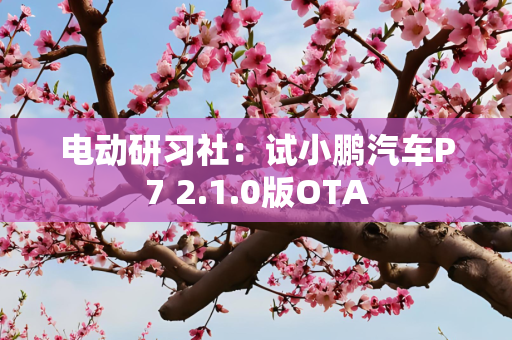 电动研习社：试小鹏汽车P7 2.1.0版OTA