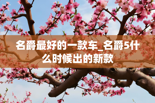 名爵最好的一款车_名爵5什么时候出的新款