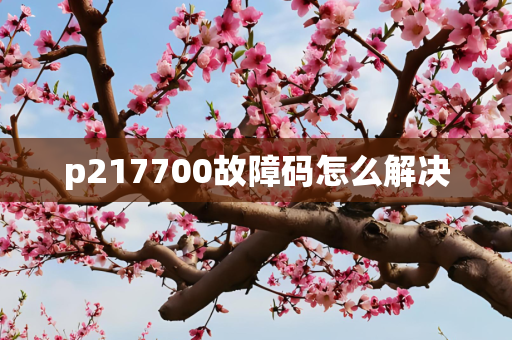p217700故障码怎么解决