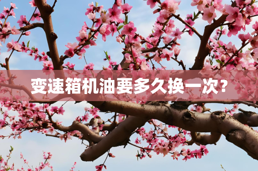 变速箱机油要多久换一次？