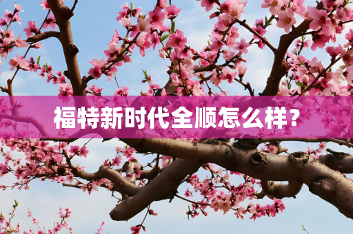 福特新时代全顺怎么样？