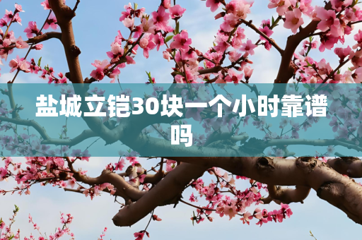 盐城立铠30块一个小时靠谱吗