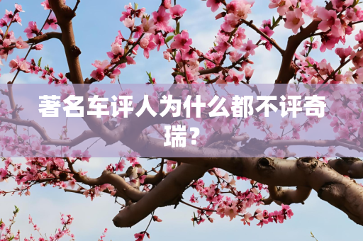 著名车评人为什么都不评奇瑞？