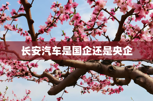 长安汽车是国企还是央企