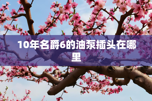 10年名爵6的油泵插头在哪里