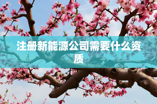 注册新能源公司需要什么资质