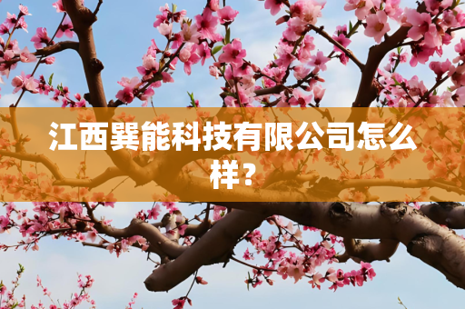 江西巽能科技有限公司怎么样？