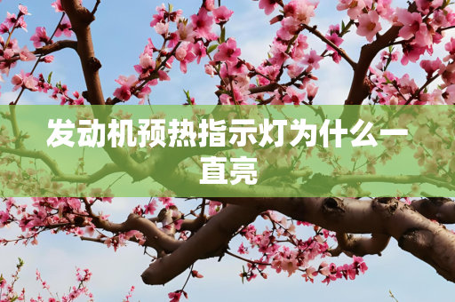 发动机预热指示灯为什么一直亮