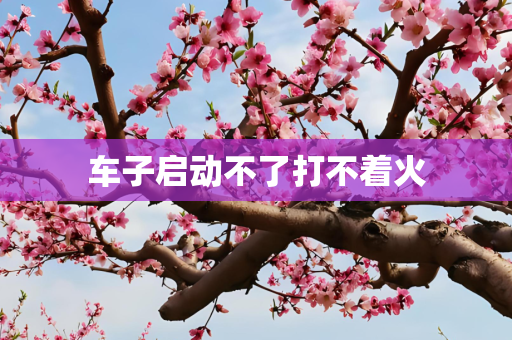 车子启动不了打不着火