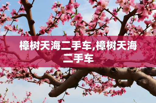 樟树天海二手车,樟树天海二手车