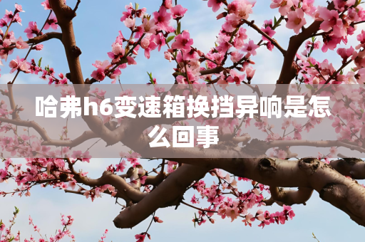 哈弗h6变速箱换挡异响是怎么回事