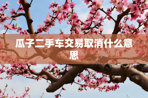 瓜子二手车交易取消什么意思