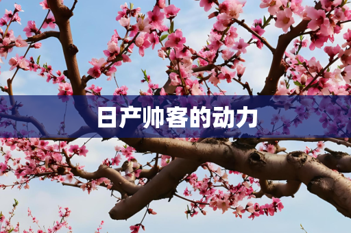 日产帅客的动力