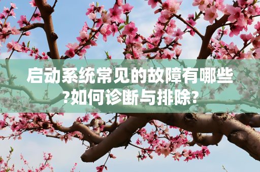 启动系统常见的故障有哪些?如何诊断与排除?