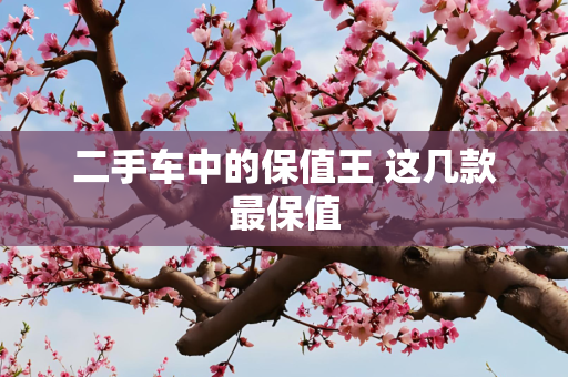 二手车中的保值王 这几款最保值
