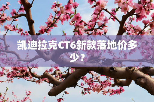 凯迪拉克CT6新款落地价多少？