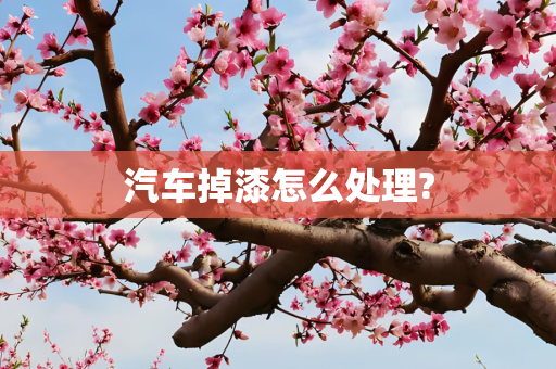 汽车掉漆怎么处理?
