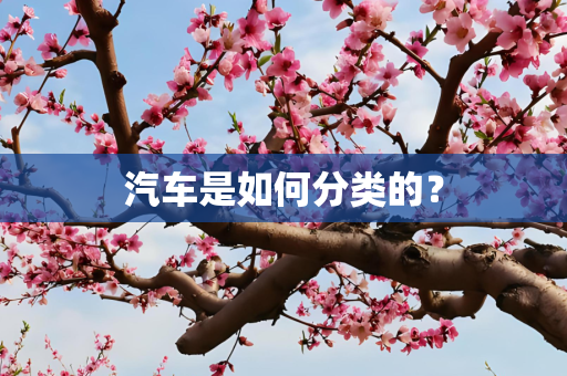 汽车是如何分类的？