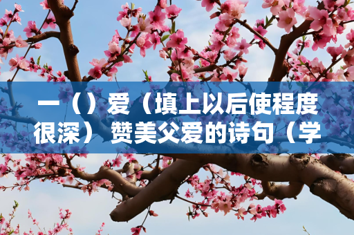 一（）爱（填上以后使程度很深） 赞美父爱的诗句（学过的） 快快 两者都要