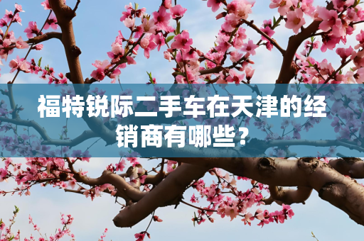 福特锐际二手车在天津的经销商有哪些？