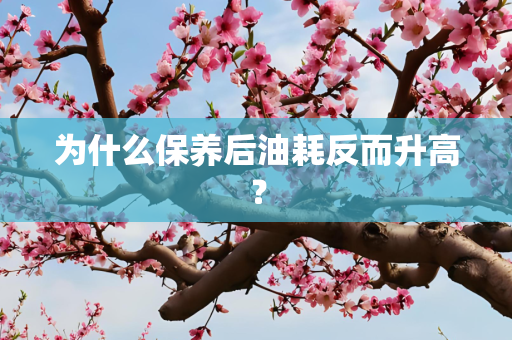 为什么保养后油耗反而升高？