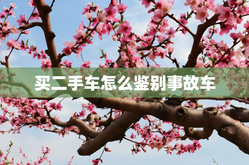 买二手车怎么鉴别事故车