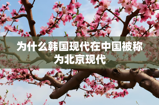 为什么韩国现代在中国被称为北京现代
