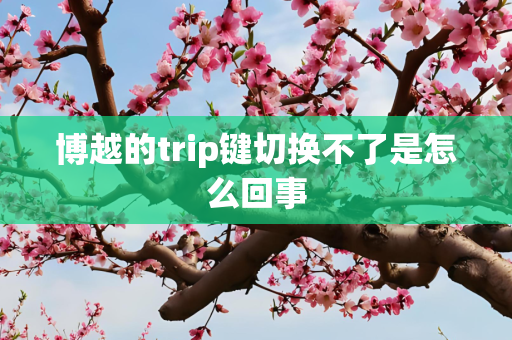博越的trip键切换不了是怎么回事