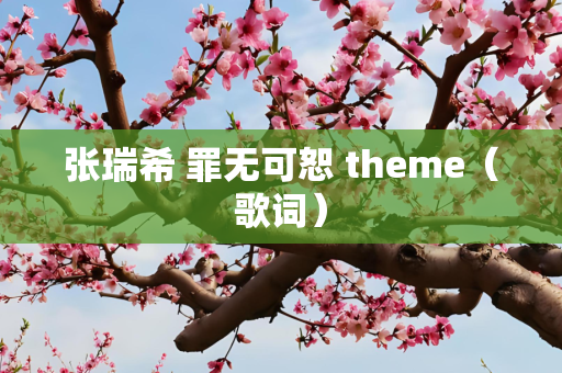 张瑞希 罪无可恕 theme（歌词）