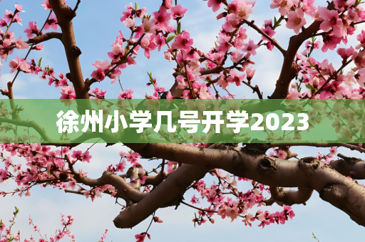 徐州小学几号开学2023