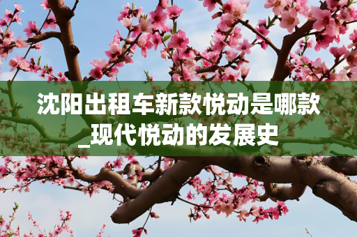 沈阳出租车新款悦动是哪款_现代悦动的发展史