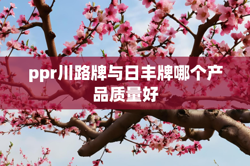 国际 第281页