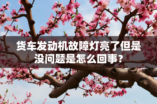 货车发动机故障灯亮了但是没问题是怎么回事？