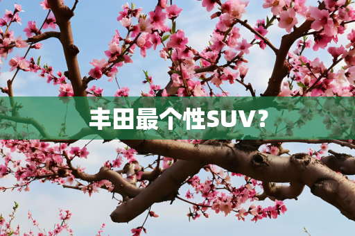 丰田最个性SUV？