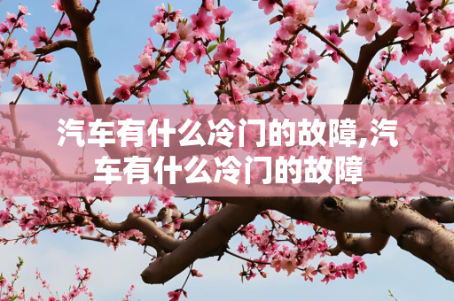 汽车有什么冷门的故障,汽车有什么冷门的故障
