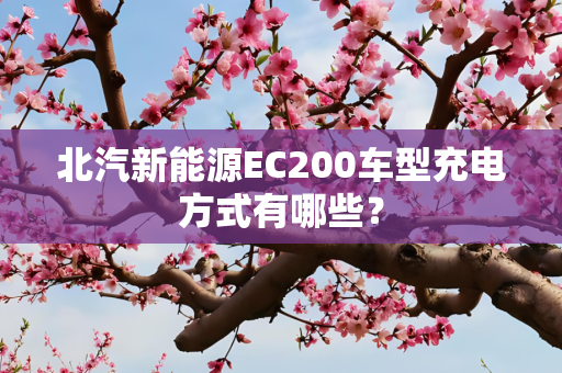 北汽新能源EC200车型充电方式有哪些？