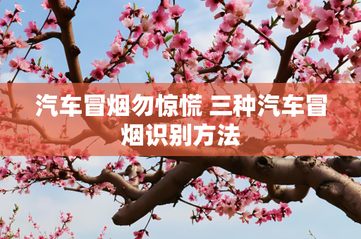 汽车冒烟勿惊慌 三种汽车冒烟识别方法