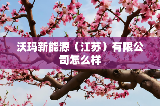 沃玛新能源（江苏）有限公司怎么样