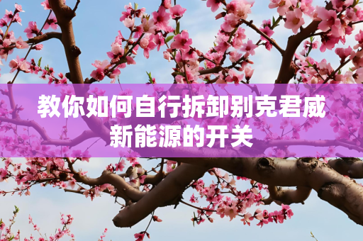 教你如何自行拆卸别克君威新能源的开关