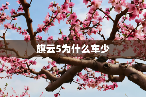 旗云5为什么车少