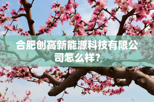 合肥创高新能源科技有限公司怎么样？
