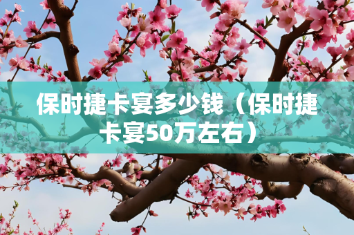 保时捷卡宴多少钱（保时捷卡宴50万左右）