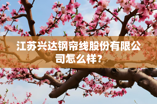 江苏兴达钢帘线股份有限公司怎么样？